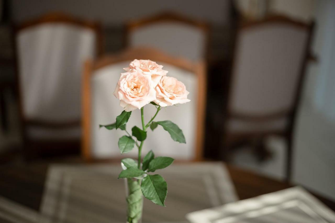 Carparosa Hotel Μπούκοβελ Εξωτερικό φωτογραφία